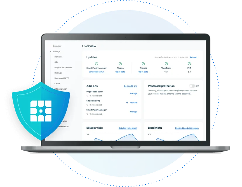 WP Engine hosting dashboard showing site overview, plugin and theme updates, add-ons and billable visits
